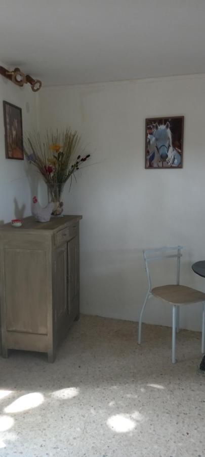 Petite Maison Dans La Campagne A 10 Mn A Pied Du Centre Ville 阿爾勒 外观 照片