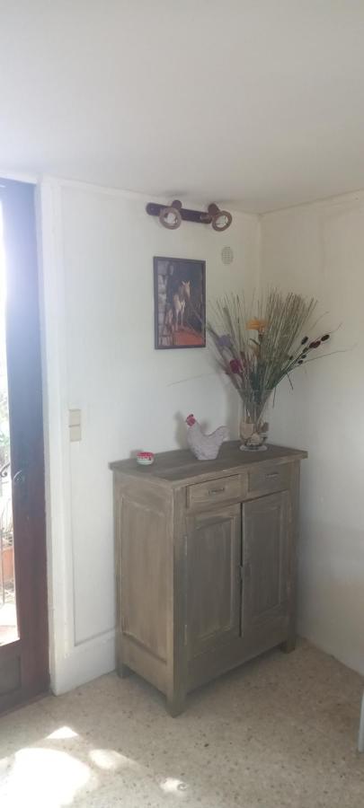Petite Maison Dans La Campagne A 10 Mn A Pied Du Centre Ville 阿爾勒 外观 照片