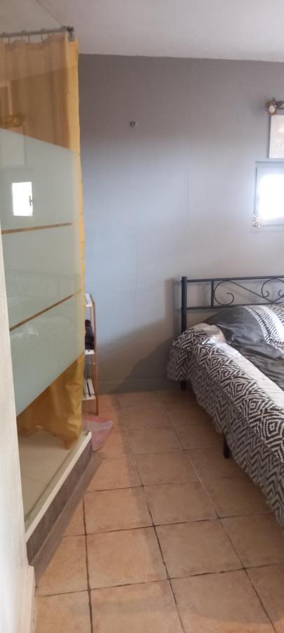 Petite Maison Dans La Campagne A 10 Mn A Pied Du Centre Ville 阿爾勒 外观 照片
